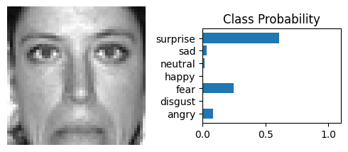 Disgust