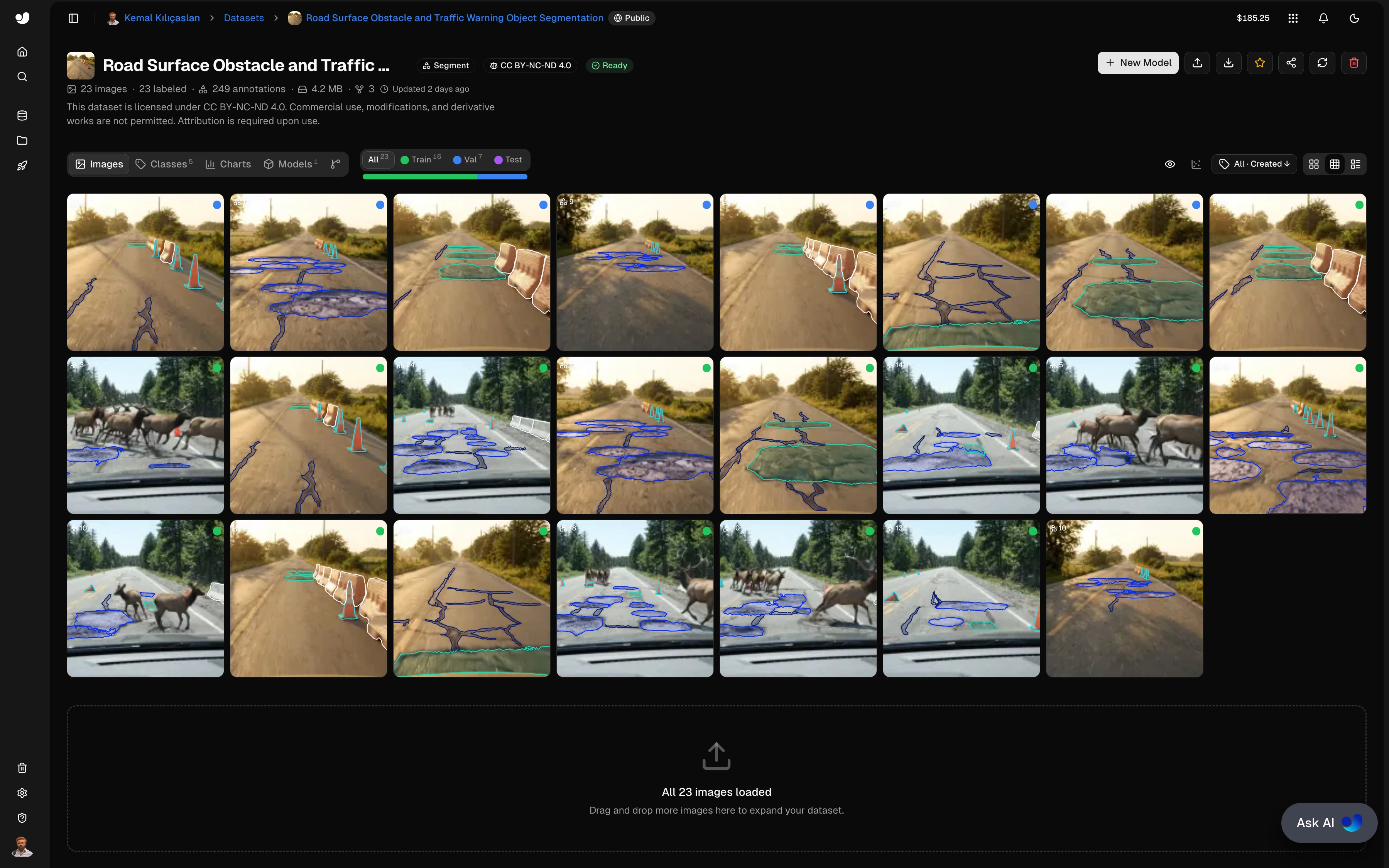 Road Surface Obstacle and Traffic Warning Object Segmentation Dataset